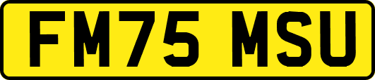 FM75MSU
