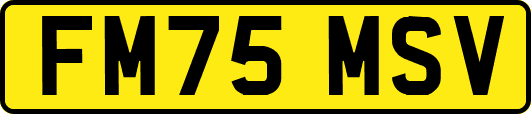 FM75MSV