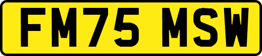 FM75MSW