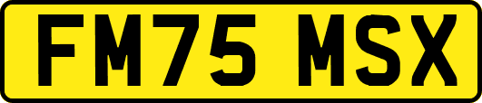 FM75MSX