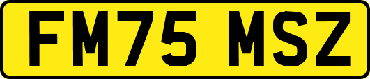 FM75MSZ