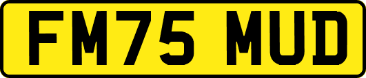 FM75MUD