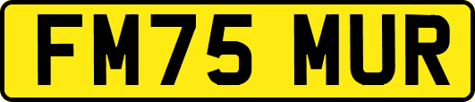 FM75MUR
