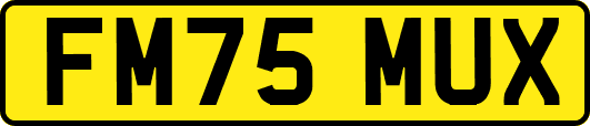FM75MUX