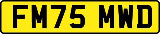 FM75MWD