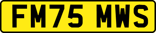 FM75MWS