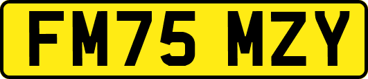 FM75MZY