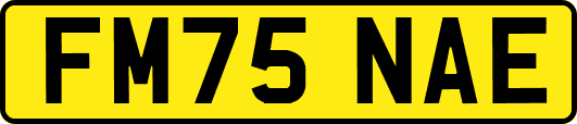 FM75NAE