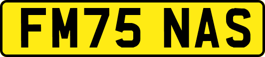 FM75NAS