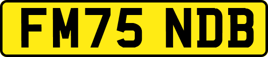 FM75NDB