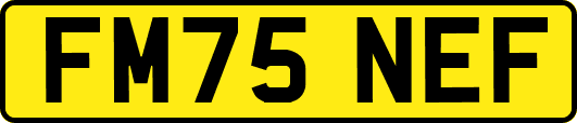 FM75NEF