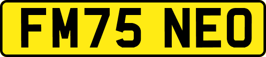 FM75NEO