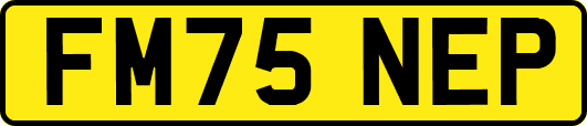 FM75NEP