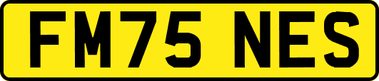 FM75NES