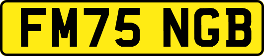 FM75NGB