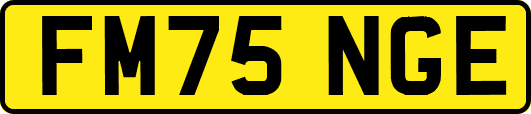 FM75NGE