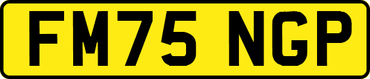 FM75NGP