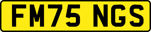 FM75NGS