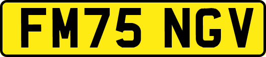 FM75NGV