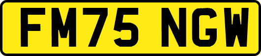 FM75NGW