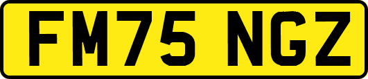 FM75NGZ