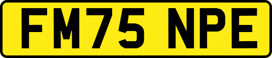 FM75NPE