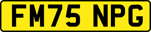 FM75NPG