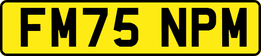 FM75NPM