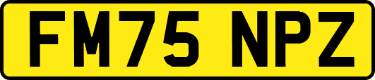 FM75NPZ