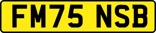 FM75NSB