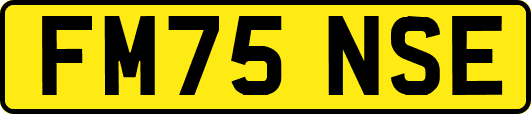 FM75NSE