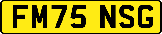 FM75NSG