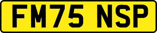 FM75NSP