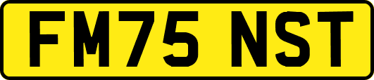 FM75NST