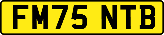 FM75NTB
