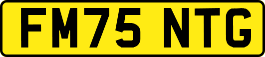 FM75NTG