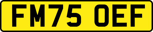 FM75OEF