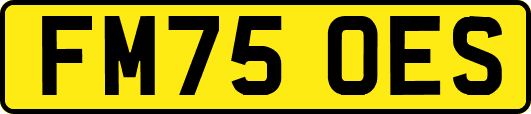 FM75OES