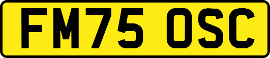 FM75OSC