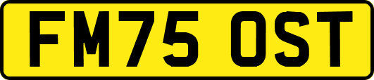 FM75OST