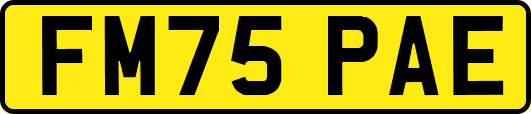 FM75PAE