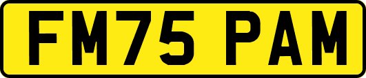 FM75PAM