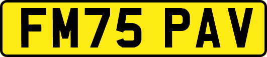 FM75PAV