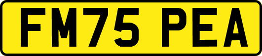 FM75PEA