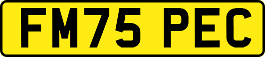 FM75PEC