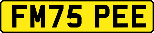 FM75PEE