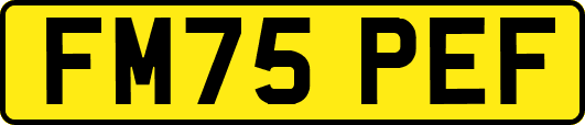 FM75PEF
