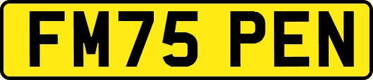 FM75PEN