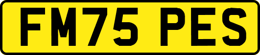FM75PES