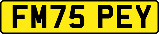 FM75PEY